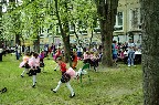 maly_mini_2016_05_20_i_piknik_rodzinny_00113.jpg